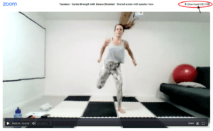 zoom video player w link